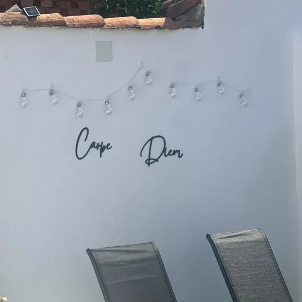 imgi_25_806df5ee-03eb-469b-98fc-e8323df0b98e